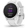 Garmin fenix 6S, Premium Multisport GPS Watch, Smaller-Sized, Heat and Altitude Adjusted V02 Max, Pulse Ox Sensors and Training Load Focus, White