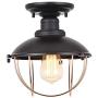 Pauwer Vintage Semi Flush Mount Ceiling Light Industrial Metal Cage Ceiling Light Fixture Farmhouse Close to Ceiling Light Fixture Black for Hallway Kitchen Garage Bathroom