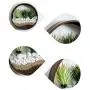 SHES HOME Morden Round Indoor Wall Succulent Hanging Planter, Metal Decorative Freestanding Mount Holder with Glass (Dark-Brown) SHES HOME Morden Round Indoor Wall Succulent Hanging Planter, Metal Decorative Freestanding Mount Holder with Glass (Dark-Brown)
