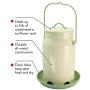 Perky-Pet Milk Pail Hopper Feeder
