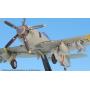 Sea Fury WE683: 109-ST1831 Sqn Airplane Miniature Model Metal Die-Cast 1:72 Part# A02WTW72015-009