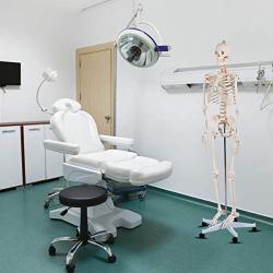Giantex 70.8'' Life Size Skeleton Model, with Roller Stand, 2 Casters with Brake, Removable Parts, Anatomical Poster and Dust Cover, Human Skeleton Model for Anatomy