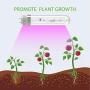 iGrowtek CMH 315W 3K-R Grow Light Bulb, 3000K Enhanced 660nm Red Light,High Par Output,CMH 315 Grow Bulb, Ceramic Metal Halide Grow Lamp