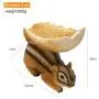 HUNTHAWK Chipmunk Outdoor Brown Squirrel Feeders,Birdfeeder fit for Outside Woodland Squirrels and Other Animals HUNTHAWK Chipmunk Outdoor Brown Squirrel Feeders,Birdfeeder fit for Outside Woodland Squirrels and Other Animals