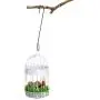 8 Pieces Metal Tree Branch Hook, Bird Feeder Garden S Hook, 12 Inches Rustproof Steel Hooks for Hanging, Bird House, Plants, Baskets, Lanterns and Bicycles, Outdoor or Indoor Use (Green) 8 Pieces Metal Tree Branch Hook, Bird Feeder Garden S Hook, 12 Inches Rustproof Steel Hooks for Hanging, Bird House, Plants, Baskets, Lanterns and Bicycles, Outdoor or Indoor Use (Green)