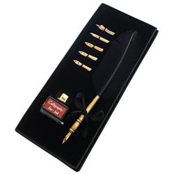 KenTaur Calligraphy Quill Pen Set (CS-0201) - Dip Pen with Black Turkey Feather, 6 Stainless Steel Nib, and European Ink. Great for Beginner/Enthusiast