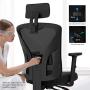 Hbada Ergonomic Office Desk Chair with Adjustable Armrest, Lumbar Support, Headrest and Breathable Skin-Friendly Mesh, Black