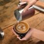 Breville Nespresso Creatista Plus Coffee Espresso Machine, 1, Stainless Steel