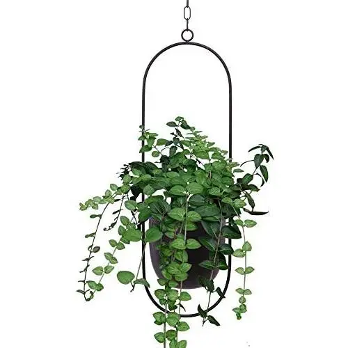 Metal Hanging Planters, Boho Modern Plant Hanger Minimalist Home Decor, Mid Century Flower Pot Plant Holder (Oval-Pack of 1)