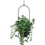 Metal Hanging Planters, Boho Modern Plant Hanger Minimalist Home Decor, Mid Century Flower Pot Plant Holder (Oval-Pack of 1) Metal Hanging Planters, Boho Modern Plant Hanger Minimalist Home Decor, Mid Century Flower Pot Plant Holder (Oval-Pack of 1)