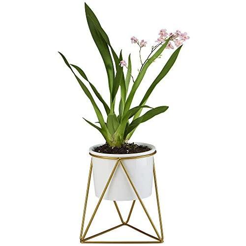 Planter Pot Indoor, Flowerplus 4.33 Inch White Ceramic Medium Succulent Cactus Flower Plant Round Bowl with Metal Stand Holder and Plants Sign for Indoors Outdoor Garden Kitchen Decor (Golden)