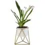 Planter Pot Indoor, Flowerplus 4.33 Inch White Ceramic Medium Succulent Cactus Flower Plant Round Bowl with Metal Stand Holder and Plants Sign for Indoors Outdoor Garden Kitchen Decor (Golden)