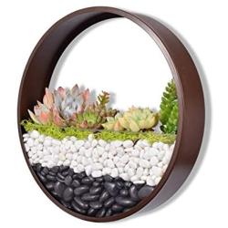 Ecosides Wall Mounted Planter Wall Hanging Planters Metal Plant Terrarium for Indoor Planter, Air Plant Holders Decorative Morden Circle Iron Vase for Succulent Indoor Wall Decor(12'' H, Brown)