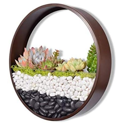 Ecosides Wall Mounted Planter Wall Hanging Planters Metal Plant Terrarium for Indoor Planter, Air Plant Holders Decorative Morden Circle Iron Vase for Succulent Indoor Wall Decor(12'' H, Brown)