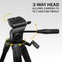 KODAK PhotoGear 62'' Lightweight Tripod | Compact 3-Section Flip-Lock Aluminum Tripod Adjusts 22”-62”, QuickRelease Plate, Smartphone Adapter & 1/4” to 3/8” Screw, Bubble Level, Carry Case, E-Guide