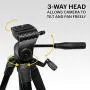 KODAK PhotoGear 62'' Lightweight Tripod | Compact 3-Section Flip-Lock Aluminum Tripod Adjusts 22”-62”, QuickRelease Plate, Smartphone Adapter & 1/4” to 3/8” Screw, Bubble Level, Carry Case, E-Guide
