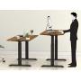 SHW Electric Height Adjustable Computer Desk, 48 x 24 Inches, Walnut