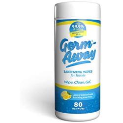Germ-Away Antibacterial Hand Wipes, Kills 99.9% Germs on Skin, 80 Wipe Canister