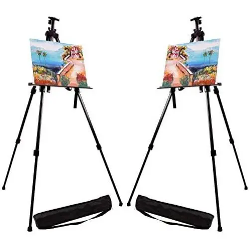 Artecho Artist Easel Display Easel Stand, 2 Pack Metal Tripod Stand Easel for Painting, Hold Canvas from 21'' to 66'', Floor and Tabletop Displaying, Painting with Portable Bag