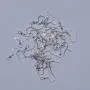 925 Sterling Silver Earring Hooks Hypoallergenic French Wire Hooks Fish Hook Earrings Jewelry Findings Parts DIY Making 40pcs 925 Sterling Silver Earring Hooks Hypoallergenic French Wire Hooks Fish Hook Earrings Jewelry Findings Parts DIY Making 40pcs