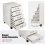 TOPSKY 5 Drawer Mobile Cabinet Fully Assembled Except Casters Built-in Handle (White)