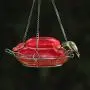 Natures Way Bird Products MHF4 Garden Top Fill Hummingbird Feeder, 16 oz Capacity, Red