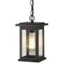 Emliviar Outdoor Pendant Lights for Porch, 1-Light Exterior Hanging Light Fixtures, Black Finish with Seeded Glass, 1803EW1-H