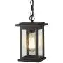Emliviar Outdoor Pendant Lights for Porch, 1-Light Exterior Hanging Light Fixtures, Black Finish with Seeded Glass, 1803EW1-H
