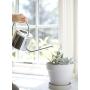 JOCO Home Small Watering Can Indoor Outdoor Metal Silver Water Plants Mini Watering Device Plant Waterer Succulent Bonsai Best Silver Watering Can Modern Design Cute for Kids Room Or Decoration