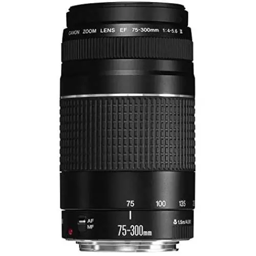 Canon EF 75-300mm f/4-5.6 III Telephoto Zoom Lens for Canon SLR Cameras Canon EF 75-300mm f/4-5.6 III Telephoto Zoom Lens for Canon SLR Cameras