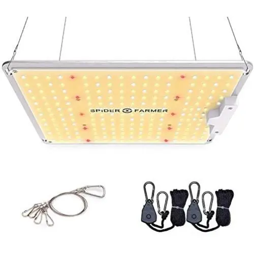 SPIDER FARMER SF-1000 LED Grow Light Use with Samsung LM301B LEDs Daisy Chain Dimmable Full Spectrum Grow Lights for Indoor Plants Veg Flower Greenhouse Growing Lamps with MeanWell Driver SPIDER FARMER SF-1000 LED Grow Light Use with Samsung LM301B LEDs Daisy Chain Dimmable Full Spectrum Grow Lights for Indoor Plants Veg Flower Greenhouse Growing Lamps with MeanWell Driver
