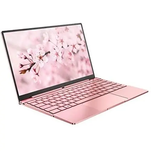 Daysky V14S Laptop, 14.1'' Full HD Display, Intel Apollo N3450 Processor, 8GB DDR4 RAM 256GB SSD Thin and Light Computer, Backlit Keyboard, Full Metal Body, Windows 10, USB 3.0, Type C, Pink Daysky V14S Laptop, 14.1'' Full HD Display, Intel Apollo N3450 Processor, 8GB DDR4 RAM 256GB SSD Thin and Light Computer, Backlit Keyboard, Full Metal Body, Windows 10, USB 3.0, Type C, Pink