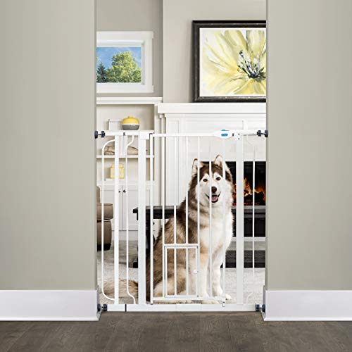 Carlson Extra Tall Walk Through Pet Gate with Small Pet Door, Includes 4-Inch Extension Kit, 4 Pack Pressure Mount Kit and 4 Pack Wall Mount Kit