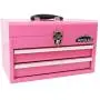 APOLLO TOOLS Pink Metal Tool Box with Deep Top Compartment and 2 Drawers in Heavy-Duty Steel Chest With Ball Bearing Opening And Powder Coated Finish - Pink Ribbon - DT5010P APOLLO TOOLS Pink Metal Tool Box with Deep Top Compartment and 2 Drawers in Heavy-Duty Steel Chest With Ball Bearing Opening And Powder Coated Finish - Pink Ribbon - DT5010P