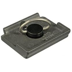 Manfrotto Quick Release Plate with Special Adapter (200PL)