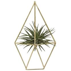 NCYP Rustic Wall Mount Hanging Irregular Pentagon Geometric Metal Tillandsia Air Plants Holder Rack Black Wall Accent Decor (Gold) No Plants