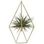 NCYP Rustic Wall Mount Hanging Irregular Pentagon Geometric Metal Tillandsia Air Plants Holder Rack Black Wall Accent Decor (Gold) No Plants