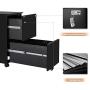Bonnlo 2-Drawer Metal Filing Cabinet with Lock Under Desk Office Drawer Cabinet, Black