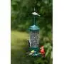 Squirrel Buster Legacy Squirrel-proof Bird Feeder w/4 Metal Perches, 2.6-pound Seed Capacity