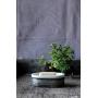 Creative Co-op Galvanized Metal and Stoneware Vintage Soap Dish