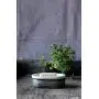 Creative Co-op Galvanized Metal and Stoneware Vintage Soap Dish Creative Co-op Galvanized Metal and Stoneware Vintage Soap Dish