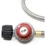 GasOne 2113+50105 4 ft Regulator and Propane Brass Orifice, Steel Braided Hose