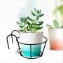 4 Pack Hanging Railing Planters Flower Pot Holders Plant Iron Racks Fence Metal Potted Stand Mounted Balcony Round Plant Baskets Shelf Container Box for Indoor&Outdoor Use-Black,Garden Steel Pots,6.3'' 4 Pack Hanging Railing Planters Flower Pot Holders Plant Iron Racks Fence Metal Potted Stand Mounted Balcony Round Plant Baskets Shelf Container Box for Indoor&Outdoor Use-Black,Garden Steel Pots,6.3''