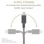 Native Union Belt Cable - 4ft Ultra-Strong Reinforced [MFi Certified] Durable Lightning to USB Charging Cable with Leather Strap Compatible with iPhone/iPad (Zebra)