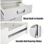 TOPSKY 5 Drawer Mobile Cabinet Fully Assembled Except Casters Built-in Handle (White)