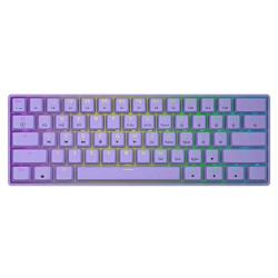 GK61s Mechanical Gaming Keyboard - 61 Keys Multi Color RGB Illuminated LED Backlit Wired Programmable for PC/Mac Gamer (Gateron Mechanical Black, Lavender)