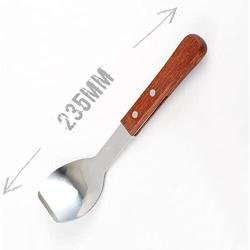 Ice Cream Metal Spade, LU2000 9 Inches Sweets Blade Scoop Wedding Buffet Cooking Tool for BBQ & Kitchen Cook Cake Scraper Stainless Spoon Shovel Large Ice Cream Scooper