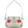 Natures Way Bird Products MJF1 Natures Way Mason Jar Hummingbird Dish Feeder, Clear Natures Way Bird Products MJF1 Natures Way Mason Jar Hummingbird Dish Feeder, Clear