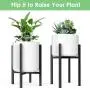 MUDEELA Metal Plant Stand, Mid Century Modern Plant Stand 15 inches in Height, Indoor & Outdoor Potted Plant Holder, Hold Up to 10 Inch Planter, Pot & Plant Not Included, Black MUDEELA Metal Plant Stand, Mid Century Modern Plant Stand 15 inches in Height, Indoor & Outdoor Potted Plant Holder, Hold Up to 10 Inch Planter, Pot & Plant Not Included, Black