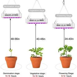 LED Grow Light 1000W, WY CN Upgraded Full Spectrum Dual chip Plant Grow Light with Daisy Chain Design for Hydroponic Indoor Plants, Seeding, Flowering Fruiting Grow lamp( 10W LEDs 100Pcs)